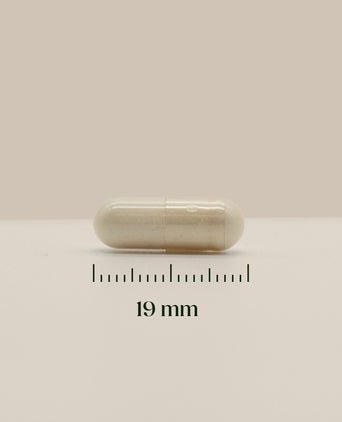 Hairgivers Biotin Supplement 1000 mcg | 60 Kapseln (Vitamin B7) Hairgivers Biotin Supplement 1000 mcg | 60 Kapseln (Vitamin B7)