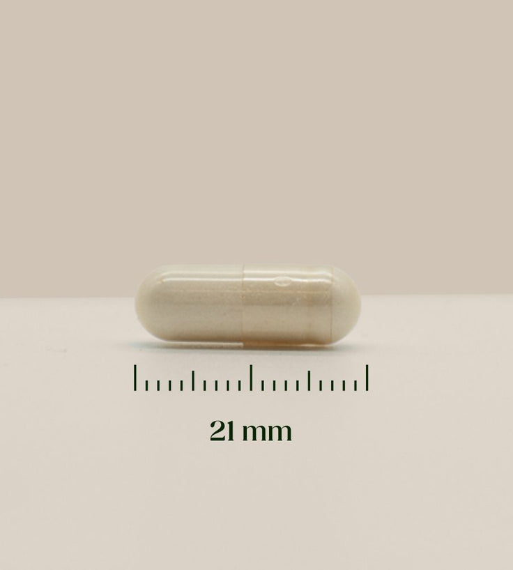 Hairgivers NAC Supplement 600 mg | 120 Kapseln (N-Acetyl-L-Cystein)