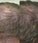 Neofollics Conditioner - Hairgivers
