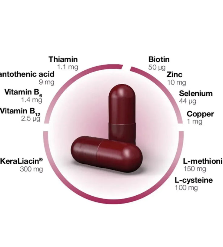 Orthomol Hair Intense Kapseln (60 Kapseln) - Hairgivers