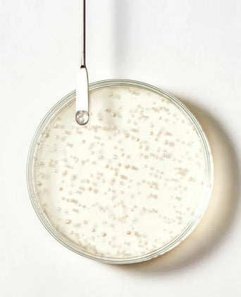 René Furterer Triphasic Shampoo René Furterer Triphasic Shampoo - Hairgivers