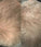 Scandinavian Biolabs Haarwuchsbehandlung (Mann) - Hairgivers