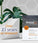 Viviscal Haarwachstums-Tabletten für Männer (3 Monate) - Hairgivers