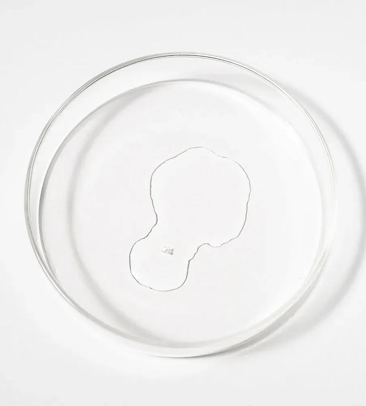 Scandinavian Biolabs Serum für Männer (100 ml) - Hairgivers