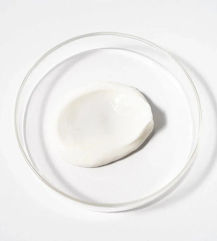 Scandinavian Biolabs Shampoo + Conditioner für Männer Kombi-Packung - Hairgivers