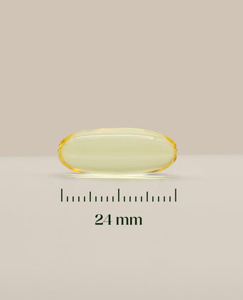 Hairgivers Omega 3 Supplement 1000 mg | 60 Kapseln (EPA/DHA)