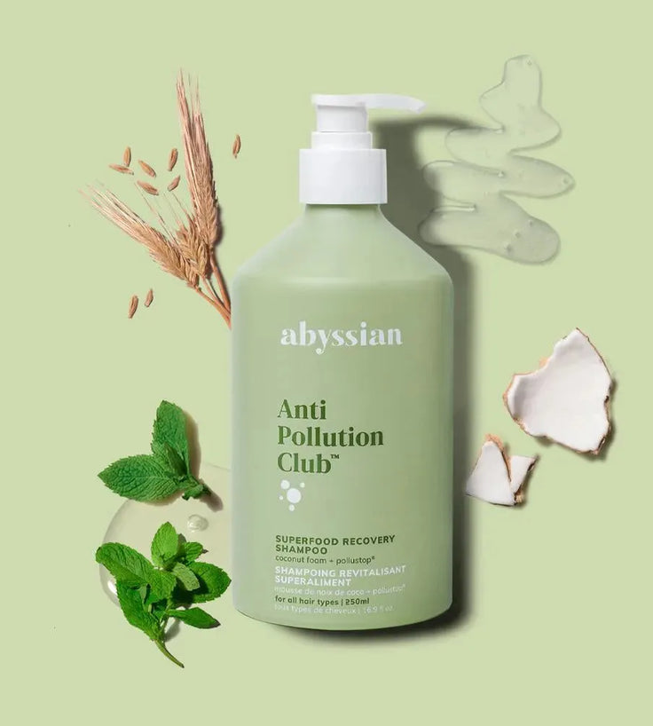 Geschenk: Abyssian Superfood Recovery Shampoo (250 ml) - Hairgivers