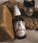 Mr. Bear Family Bartöl - Woodland (60 ml) - Hairgivers