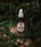 Mr. Bear Family Bartöl - Woodland (60 ml) - Hairgivers