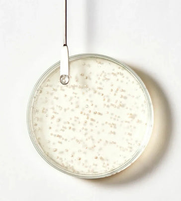 René Furterer Triphasic Shampoo René Furterer Triphasic Shampoo - Hairgivers