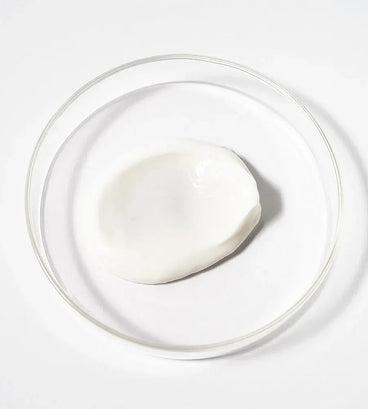 Scandinavian Biolabs Conditioner für Männer (250 ml) - Hairgivers